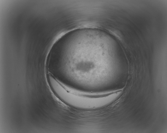 X0000067521471200604211804