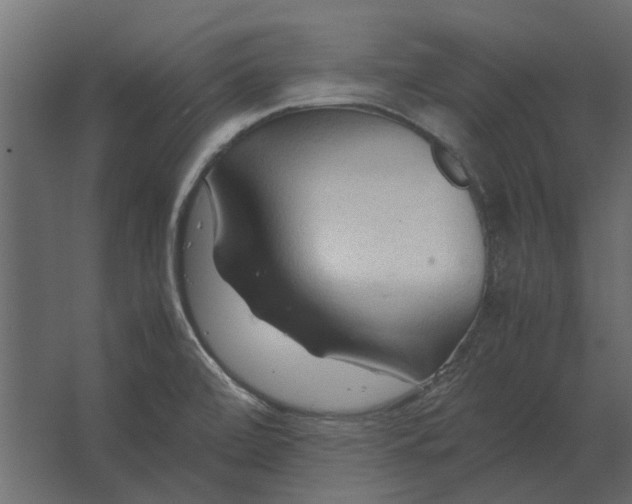 X0000067521472200604211804