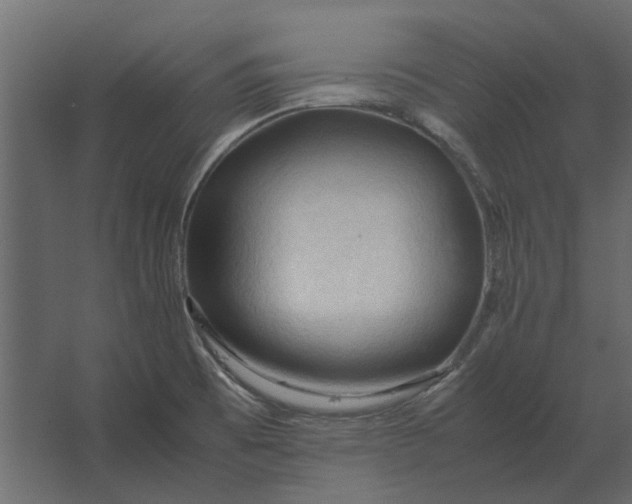 X0000067521473200604211804