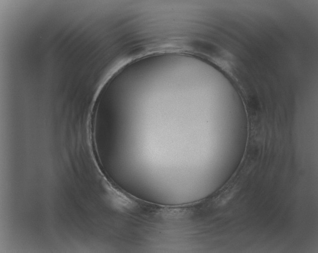 X0000067521474200604211804