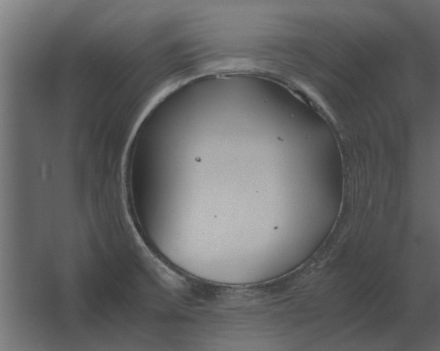 X0000067521475200604211804