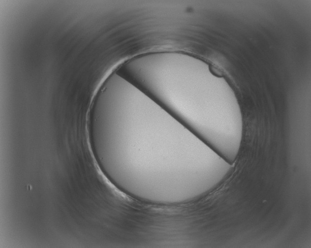 X0000067521476200604211804