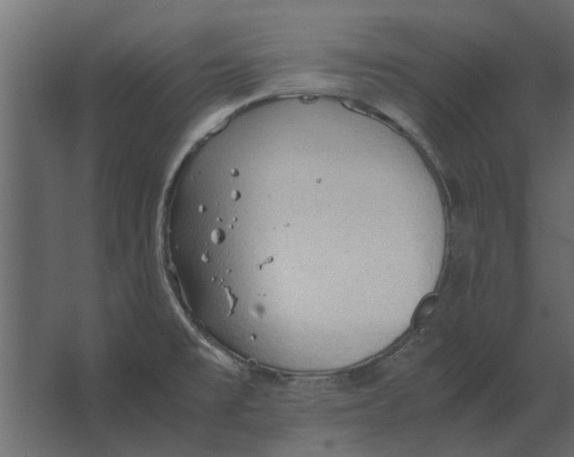 X0000067521477200604211804