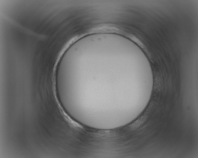 X0000067521478200604211804