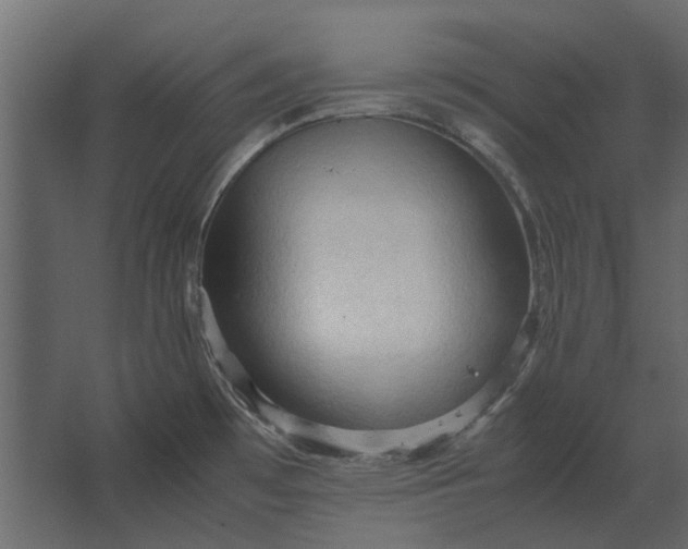 X0000067521481200604211804