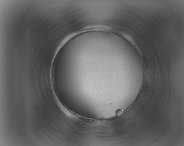 X0000067521482200604211804