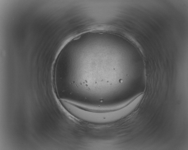 X0000067521483200604211804