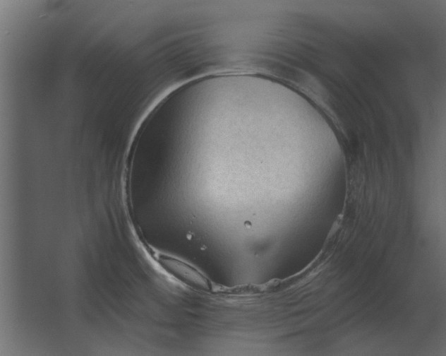 X0000067521484200604211804