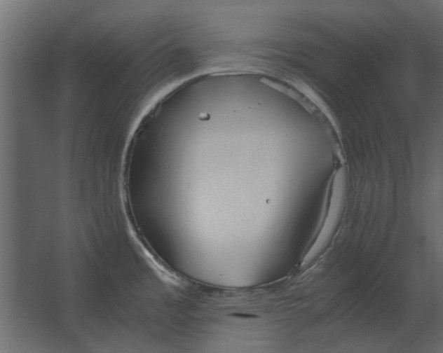 X0000067521485200604211804