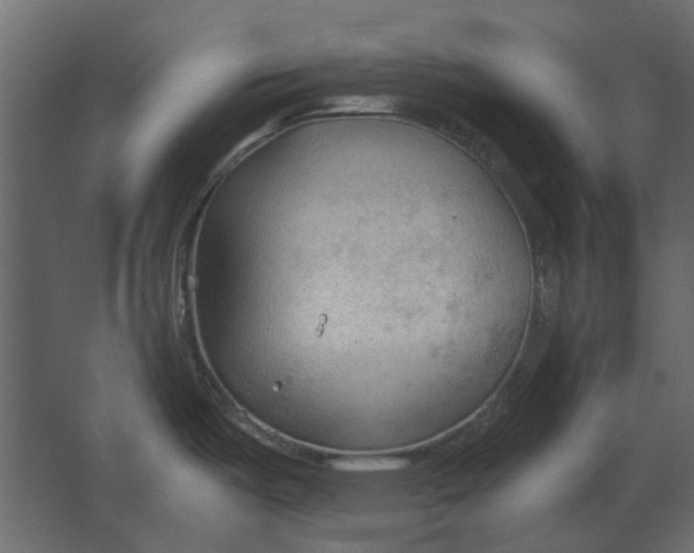 X0000067521487200604211804