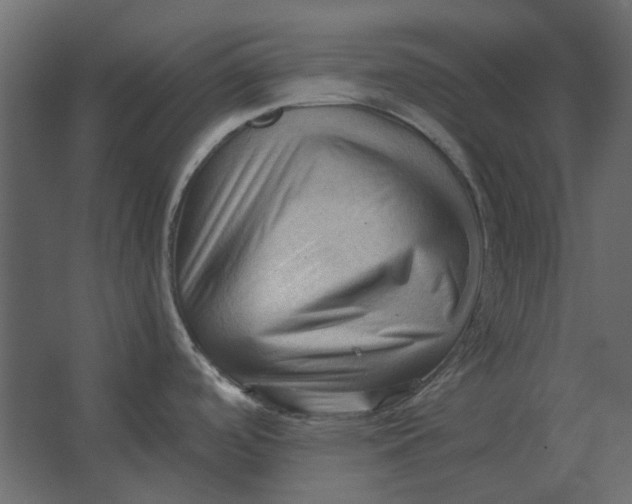 X0000067521488200604211804