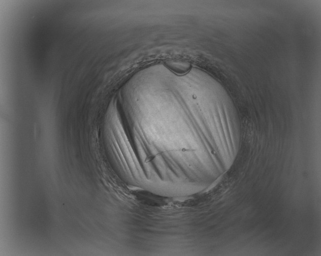 X0000067521489200604211803