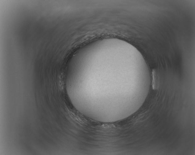 X0000067521491200604211803