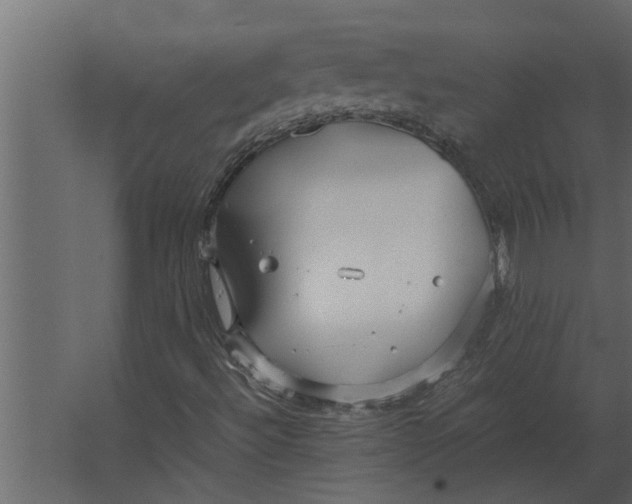 X0000067521492200604211803