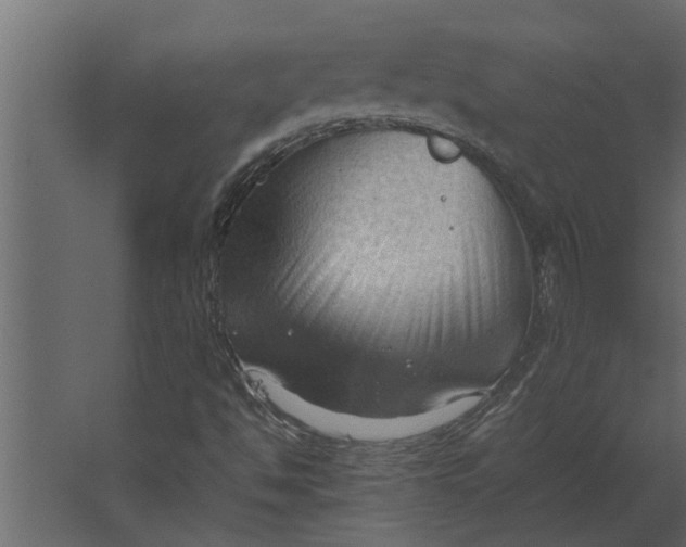 X0000067521494200604211803