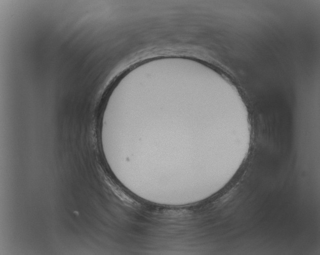 X0000067521498200604211803