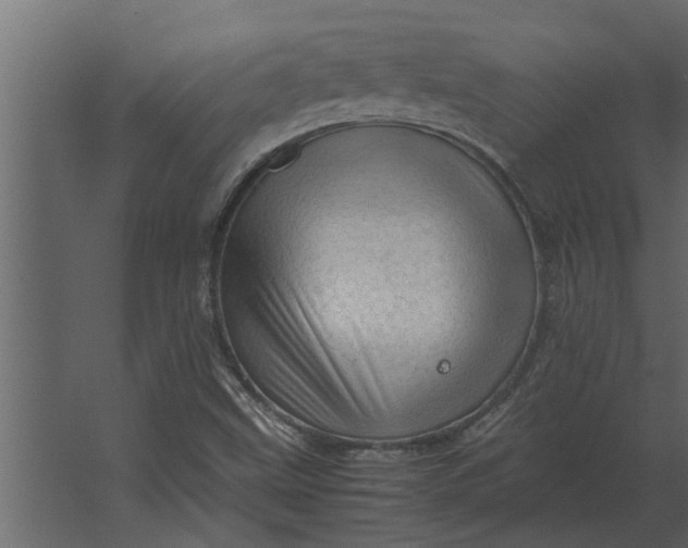 X0000067521499200604211803