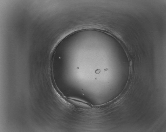 X0000067521500200604211803