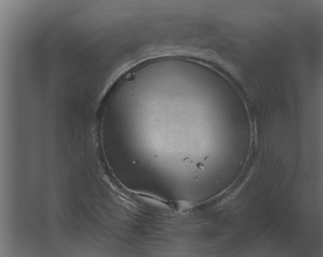 X0000067521501200604211803