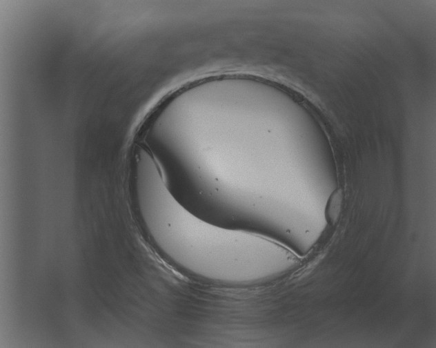 X0000067521502200604211803