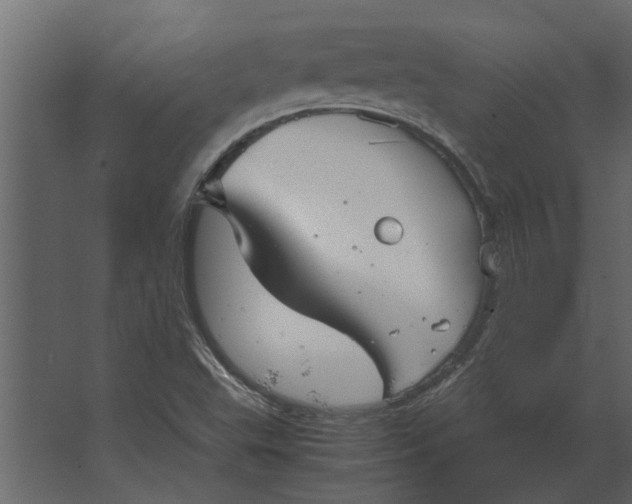 X0000067521503200604211803