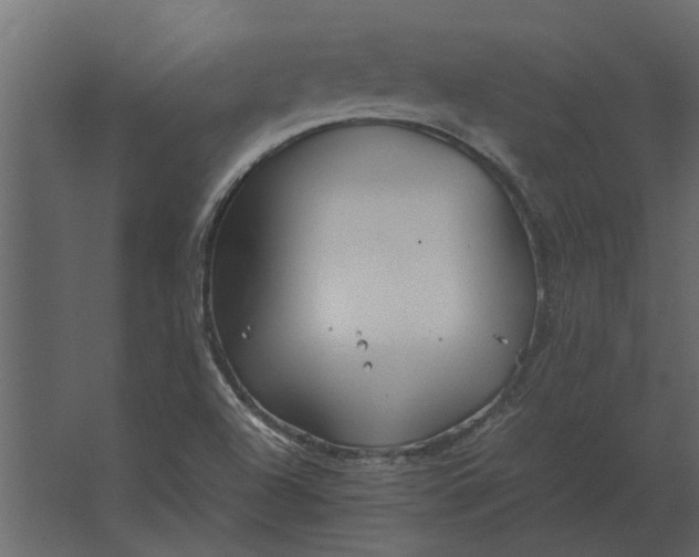 X0000067521504200604211803