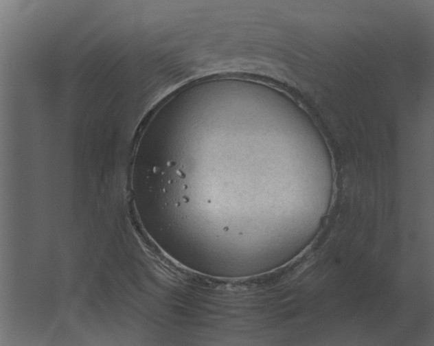 X0000067521505200604211803