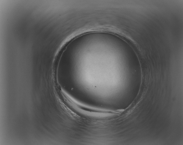 X0000067521506200604211803