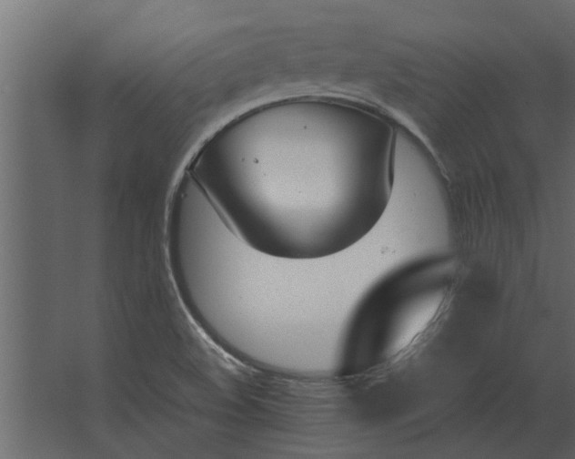 X0000067521508200604211803