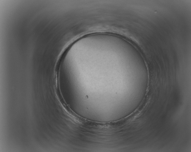 X0000067521509200604211803