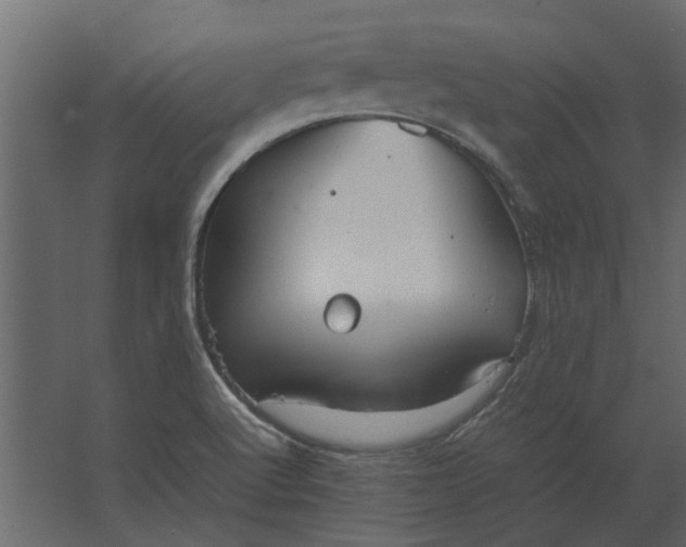 X0000067521512200604211803