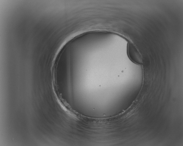 X0000067521515200604211803