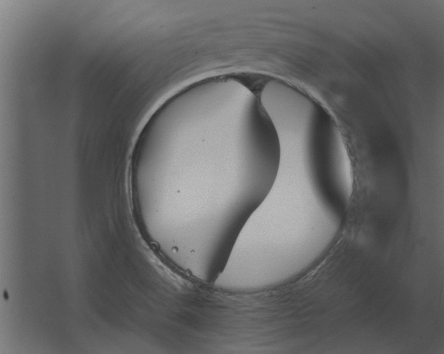 X0000067521516200604211803