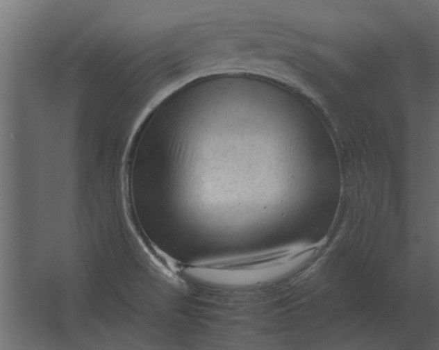 X0000067521517200604211803