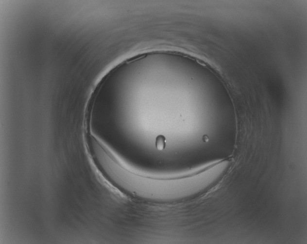 X0000067521518200604211803