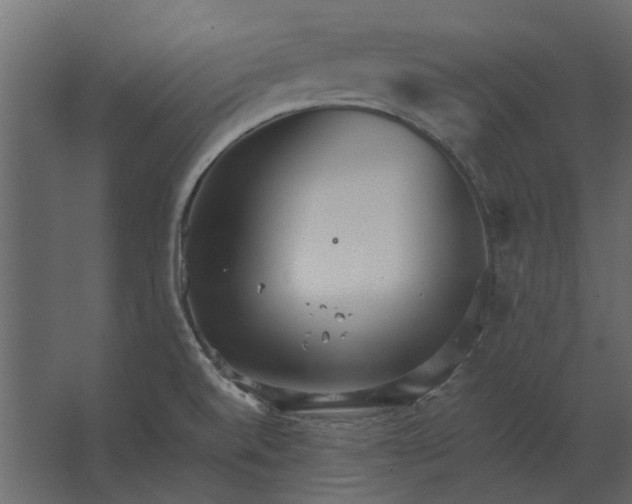 X0000067521520200604211803