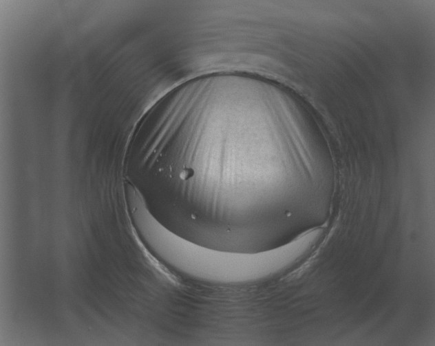 X0000067521521200604211803