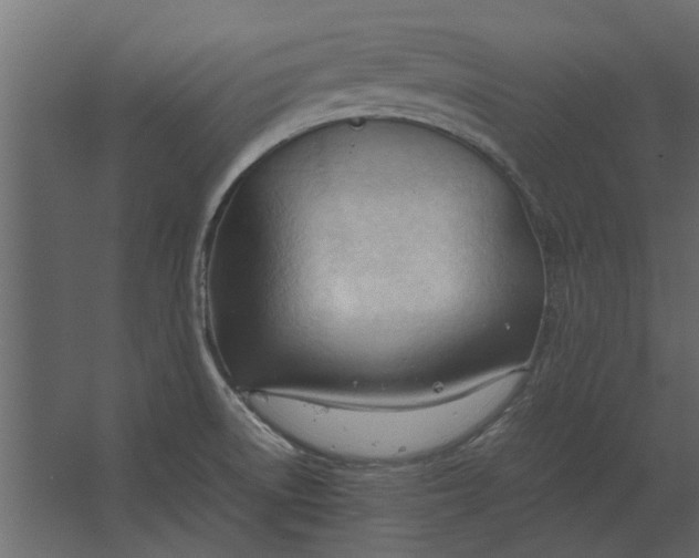 X0000067521522200604211803