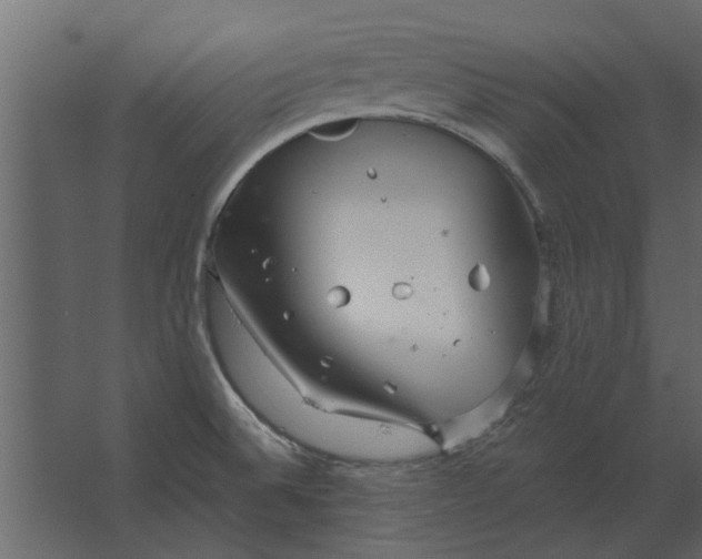 X0000067521524200604211803