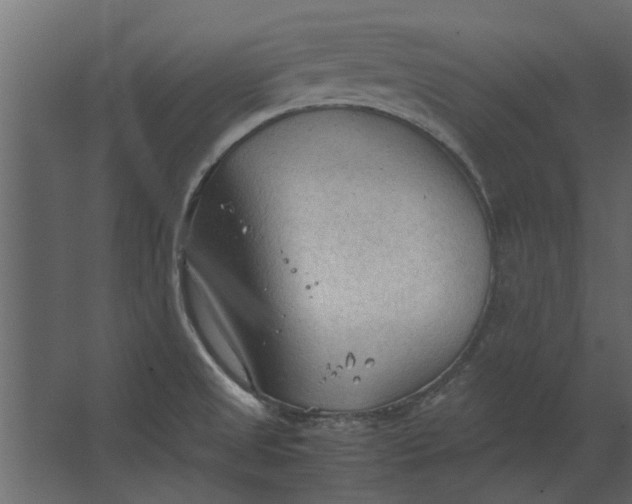 X0000067521525200604211804