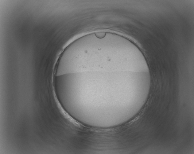 X0000067521526200604211804