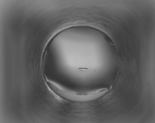 X0000067521527200604211804