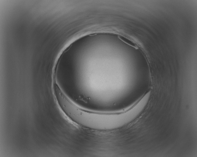 X0000067521528200604211804