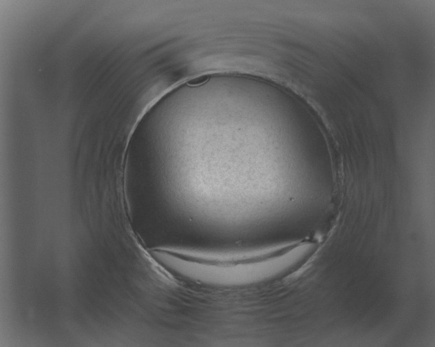 X0000067521529200604211804