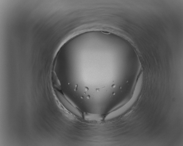 X0000067521530200604211804