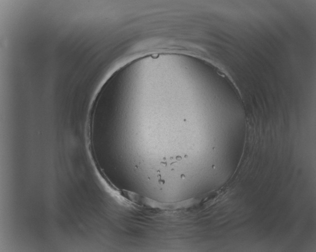 X0000067521531200604211804