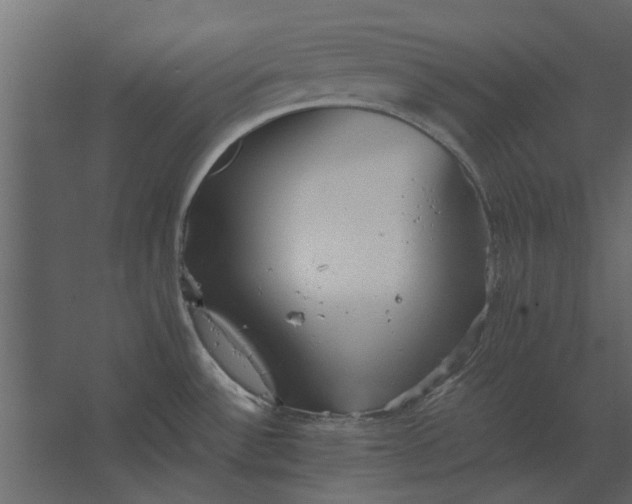 X0000067521532200604211804