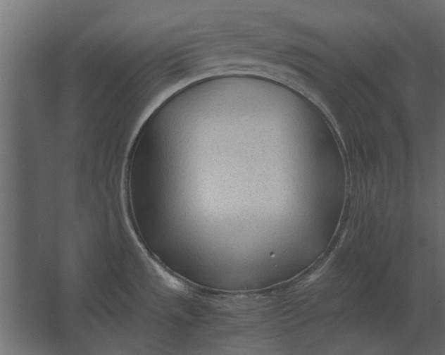 X0000067521533200604211804