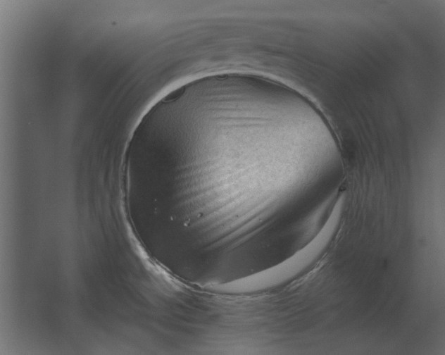 X0000067521534200604211804