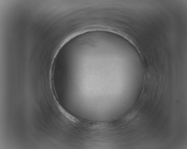 X0000067521535200604211804